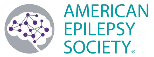 American epilepsy society